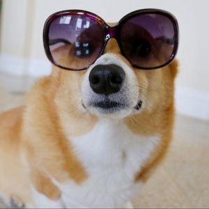 Meet your Posher, Derek